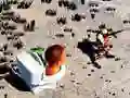 Cluiche LĂonadh Sceire Skibidi ar an Toalett ar lĂne Cluiche LĂonadh Sceire Skibidi ar an Toalett ar lĂne