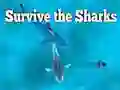 Cluiche Survive the Sharks ar lĂne Cluiche Survive the Sharks ar lĂne