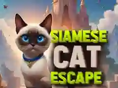 Cluiche Teacht as an gcat Siamese ar lĂne Cluiche Teacht as an gcat Siamese ar lĂne