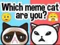 Cluiche Cad é an cat meme atá tú? ar líne