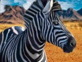 Cluiche Sealgair zebra ar líne