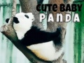 Cluiche Panda Bábóige Milis ar líne