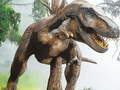 Cluiche Puzhal Feoilí Tiranosaurus Rex ar líne