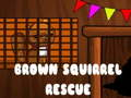 Cluiche Turas Conaithe na Squirrel Brown ar líne