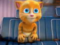 Cluiche Pu zal Talking Tom agus a Chairde ar líne