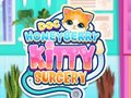 Cluiche Dochtúir HoneyBerry Surgery Cat ar líne