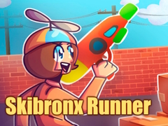 Cluiche Rithí Skibronx ar líne