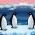 Penguins Penguins ar líne